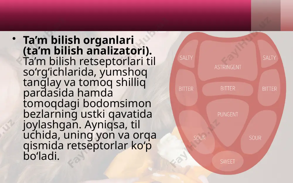 hid va ta’m bilish organlari. 8 - sinf - Page 5