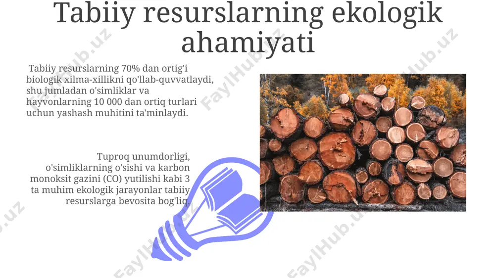 tabiiy resurslar tasnifi - Page 3