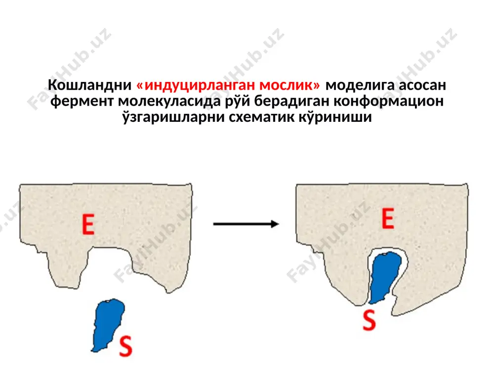 сле засева посевной культуры в аппарате устанавливают оптимальные для ферментации параметры. в ходе процесса осуществляется непрерывная подача стерильного воздуха через воздушный фильтр фв, ph статирование подачей растворов кислоты из емкости е3 или щелочи из е4, уровень пены регулируется подачей пеногасителя из е1, при необходимости производятся подпитки из емкости e1, температуру культивирования поддерживают подачей в рубашку охлаждающей воды, давления внутри ферментера поддерживается за счет регулирования расхода отходящих газов. продолжительность биосинтеза эритромицина при посеве из колбы составляет ~240 ч. по истечению этого срока готовая культуральная жидкость выгружается и передаётся на фильтрацию. image1.png image2.png image3.png image4.wmf image5.wmf image6.png image7.wmf image8.wmf image9.wmf image10.png image11.png image12.png image13.png image14.png image15.png image16.jpeg image17.png