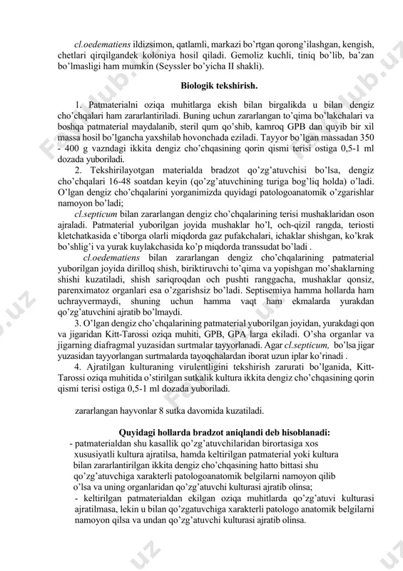 dan bir qismi, ko’krak va qorin bo’shliqlari ekssudatlari, teri osti kletchatkasi infiltrati yuboriladi. material yangi o’lgan hayvonning jasadidangina olinadi, chunki qo’y o’lganidan keyin ichakda anaerob mikroorganizmlar tez rivojlanib organ va to’qimalarga o’tadi. eskirgan jasadlardan olingan materiallarning tekshirish natijalari hisobga olinmaydi. 3. bradzotga tekshirish patmaterialdan tayyorlangan surtmalarni mikroskopiya qilish, oziqa muhitlarga ekish va laboratoriya hayvonlarini zararlantirishdan iborat. bir vaqtda infeksion enterotoksemiyadan farqlash uchun tekshirish olib boriladi. miroskopik tekshirish. 1. keltirilgan patmateriallardan surtmalar tayyor lanib gram yoki muromsev usulida bo’yaladi. 2. surtmalarni mikroskopda ko’rganda mikrobning shakli, uning joylashi shi, vegetativ shakllari hamda sporalar (sporalar bo’yoqni qabul qilmaydi) e’tiborga olinish kerak. materialda cl.septicum bo’lsa surtmada grammusbat bittadan joylashgan tayoqchalar, seroz qavatlardan tayyorlangan surtmalarda esa - uzun iplar ko’rinadi.cl.oedematiens esa juda yirik grammusbat uchlari aylanasimon, bitta, ikkita ba’zan qisqa (3-4 ta tayoqchadan iborat) zanjircha lar shaklida joylashgan bo’ladi. bradzot qo’zg’atuvchilarining sporalari oval shaklda bo’lib, markazda yoki uchlarida joylashgan. bakteriologik tekshirishlar. 1. parenximatoz organlaridan, shishgan …