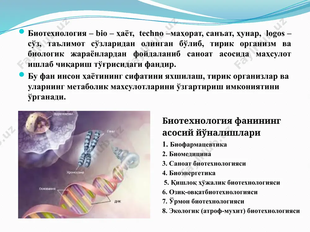 кларга эга: 1.специфик ва уникал ҳусусиятли биологик фаол моддаларни олиш имконияти, масалан оқсиллар ва днк, ҳозирги вақтга қадар бундай моддаларни кимёвий йўл билан олиш имкони йўқ. 2. биотехнологик жараёнларни нисбатан юқори босим ва ҳароратда олиб бориш имкони. 3.микроорганизмлар бошқа организмларга нисбатан юқори тезликда ўсиш ва қисқа вақт ичида катта миқдорда биомасса тўплаш ҳусусиятига эгадир. масалан, микроорганизмлар ёрдамида 300 м3 хажмдаги ферментерда бир кеча кундузда 1 т оқсил ишлаб чиқариш мумкин (365 т/йилига). худди шундай ҳамждаги оқсилни йирик шохли қорамолдан олиш учун 30 000 бош қорамол керак бўлади, агарда худди шундай миқдордаги оқсилни дуккаклилар ёрдамида олинса унда дуккаклини ўстириш учун 5400 га ер майдони талаб этилади. 4. биотехнологик жараёнлар учун хом ашё сифатида қишлоқ-ҳўжалиги ва саноат чиқиндиларини қўллаш мумкин. 5. биотехнологик жараёнлар кимёвий жараёнларга нисбатан анча экологик хавфсиздир. 6. биотехнологик жараёнда қўлланиладиган аппаратлар анча содда ва арзондир. 9 биотехнологиянинг асосий йўналишлари: ген, ҳужайра ва ферментлар инженерияси; техникавий биоэнергетика- водород, биогаз олиш; …