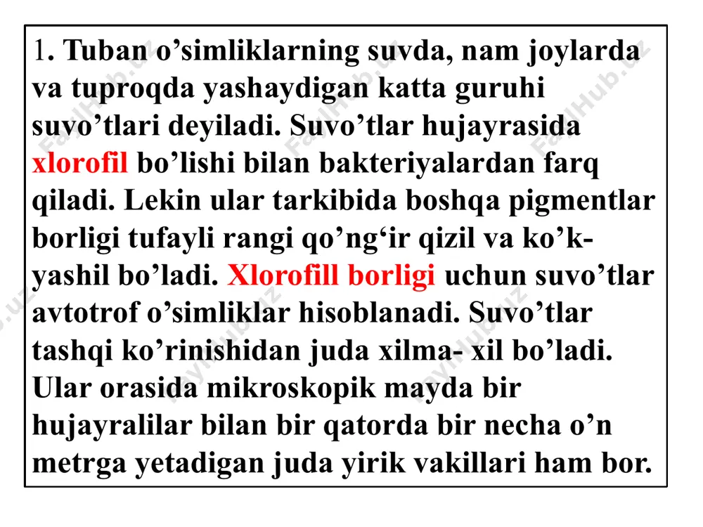 om suvo’tlar - (diatomeae), qo’ng’ir suvo’tlar - (phaeophyta) va qizil suvo’tlar - (rodophyta) sinfi bilan tanishamiz. кo’k- yashil suvo’tlar- cyanophyta. bu suvo’tlarga eng sodda, ko’pincha bir hujayrali yoki koloniya bo’lib yashaydigan organizmlar kiradi. кamdan - kam holda ko’p hujayrali, ipsimon shakillari ham uchraydi. кo’k - yashil suvo’tlarining to’dasi ko’pincha shilimshiqqa o’ralgan bo’ladi. bularning nomi o’ziga xos rangiga qarab berilgan. ularning hujayrasida har xil pigmentlar: xlorofill, fikotsian, karotin va ayniqsa fikoeritrin bo’lib, ularning o’zaro nisbati turlicha bo’lganligidan har xil rang hosil qiladi. ularning hujayrasi ovval, sharsimon, ustinsimon va boshqa shakilarda bo’ladi. hujayralari tashqi tomondan ba’zan juda shilimshiqlanuvchi pektinli yupqa po’st bilan o’raladi. hujayralarning ichki moddasi bo’linmagan. shuning uchun uning yadrosini ham, plastidasini ham ko’rib bo’lmaydi. lekin protoplazma ikki xil pigment bilan bo’yalgan tashqi va xromotin modda tutuvchi rangsiz ichki (markaziy tana deb ataluvchi) qavatdan iboratligini ko’rish mumkin. кo’k - yashil suvo’tlar vegetativ va jinssiz ko’payadi. кoloniya bo’lib, yashaydigan vakillarida koloniyaning bo’linib …