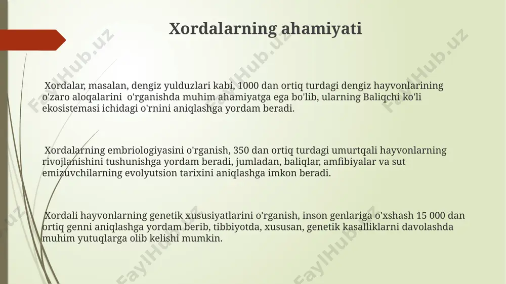 atlantika okeanining iliq suvlarida uchrashi mumkin. lichinkali xordalilarning, masalan, asidiyalarning, hayot siklida 3-5 kun ichida metamorfoz jarayoni sodir boʻlib, ular 10-15 mm gacha oʻsadi va keyinchalik dengiz tubiga choʻkadi, 1000 m chuqurlikdagi joylarda yashaydi. xordalilarning rivojlanishi xordalilarning lichinkaviy rivojlanishining muhim bosqichlaridan biri, bo'yin sohasida joylashgan gill yoriqlarining 4-6 juftining shakllanishi hisoblanadi, bu esa ularning suv muhitida nafas olishlariga imkon beradi. xordalilarning embrional rivojlanishi davomida 3 hafta ichida, taxminan 20-30 ta somit hosil bo'ladi, bu esa keyinchalik umurtqa pog'onasining rivojlanishi uchun asos bo'ladi. o'rta osiyo hududida uchraydigan ba'zi xordali hayvonlarning lichinkalari, suv havzalarida 10-15 kun yashaydi va keyin metamorfoz bosqichidan o'tadi. umurtqasiz xordalilar balanoglossus, umurtqasiz xordalilar guruhiga mansub bo'lib, taxminan 70 ga yaqin turi mavjud bo'lib, ularning ko'pchiligi dengiz tubida, masalan, avstraliya va yaponiya qirg'oqlarida yashaydi. umurtqasiz xordalilarning 30 dan ortiq turi o'rta osiyo hududida, xususan, qirg'iziston va tojikistonning tog'li hududlaridagi suv havzalarida uchraydi, ularning aksariyati planktonik hayot tarzini olib boradi. …