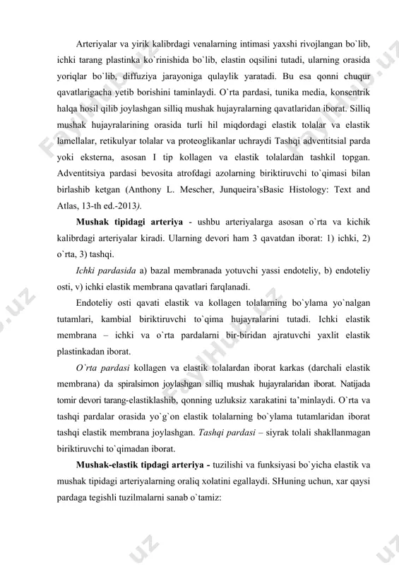 lali shakllanmagan biriktiruvchi to`qimadan iborat. mushak-elastik tipdagi arteriya - tuzilishi va funksiyasi bo`yicha elastik va mushak tipidagi arteriyalarning oraliq xolatini egallaydi. shuning uchun, xar qaysi pardaga tegishli tuzilmalarni sanab o`tamiz: ichki parda: a) endoteliy, b) subendoteliy, v) ichki elastik membrana. o`rta parda: teng miqdorda silliq miotsit va darchali elastik membranalar tutadi. tashqi parda siyrak tolali shakllanmagan biriktiruvchi to`qimadan iborat, unda v. vasorum, n. vasorum, elastik va kollagen tolalarning bo`ylama va qiyshiq yo`nalgan tutamlari joylashgan. mikrotsirkulyator tomirlar sistemasi. mikrotsirkulyator tomirlar sistemasi – bir-biri bilan anastomozlar xosil qilgan tomirlarning murakkab struktur-funksional kompleksidan iborat. mikrotsirkulyator tomirlar sistemasi o`z ichiga arteriolalar, gemokapillyarlar, venulalar, arteriolo-venulyar anastomozlar, limfa kapillyarlari, siyrak biriktiruvchi to`qimani oladi; qon aylanishining boshqarilishi, transkapillyar modda almashinuvi hamda drenaj-depo funksiyasini ta’minlaydi, maxalliy gomeostazni va a’zoning struktur-funksional birligini optimal faoliyatini boshqaradi. arteriolalar – arteriya va kapillyarlarni bir-biri bilan bog`lovchi mayda mushak tipidagi tomirlardir (d-50-100 mkm). arteriyalardagi singari devori 3 qavatdan iborat: 1) ichki 2) o`rta …