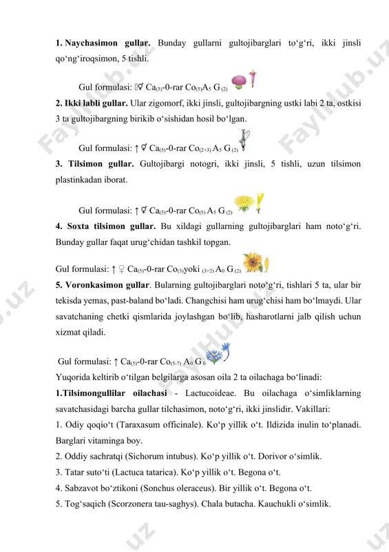 hangchisi ham urug‘chisi ham bo‘lmaydi. ular savatchaning chetki qismlarida joylashgan bo‘lib, hasharotlarni jalb qilish uchun xizmat qiladi. gul formulasi: ↑ ca(5)-0-rar co(5-7) a0 g 0 yuqorida keltirib o‘tilgan belgilarga asosan oila 2 ta oilachaga bo‘linadi: 1.tilsimongullilar oilachasi - lactucoideae. bu oilachaga o‘simliklarning savatchasidagi barcha gullar tilchasimon, noto‘g‘ri, ikki jinslidir. vakillari: 1. odiy qoqio‘t (taraxasum officinale). ko‘p yillik o‘t. ildizida inulin to‘planadi. barglari vitaminga boy. 2. oddiy sachratqi (sichorum intubus). ko‘p yillik o‘t. dorivor o‘simlik. 3. tatar suto‘ti (lactuca tatarica). ko‘p yillik o‘t. begona o‘t. 4. sabzavot bo‘ztikoni (sonchus oleraceus). bir yillik o‘t. begona o‘t. 5. tog‘saqich (scorzonera tau-saghys). chala butacha. kauchukli o‘simlik. 6. echkisoqol (tragopogon malicus). ko‘p yillik o‘t. 2. naychagullilar oilachasi – asteroideae. bu oilacha vakillari savatchalaridagi gullarining hammasi naysimon, ba’zan ikki labli yoki har-xil bo‘lishi mumkin. vakillari: 1. oddiy kungaboqar (helianthus annuus). bir yillik o‘simlik. 2. ermon (artemisia absinthium). ko‘p yillik o‘t. dorivor o‘simlik. cho‘l, adir va tog‘ …