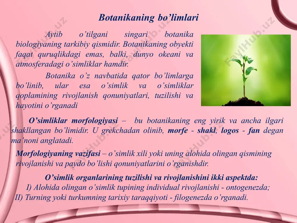 tashqari u o’simliklarning floristik geografiyasi va fitotsenologiyani birlashtiradi. floristik geografiyaning birligi bu – arealdir. areal deb turning yer yuzida egallagan maydoniga aytiladi. o’simliklar ekologiyasi – tevarak atrofdagi muhitning o’simliklar bilan aloqasini o’rganadi. shuningdek, o’simlik organizmini muhitga moslashishi qonuniyatlari hamda muhim faktorlar: issiqlik, namlik, tuproq va boshqalarning o’simlik organizmiga ta’siri, o’simlikning muhitni o’zgartiruvchi xususiyatini va hokazolarni o’rganadi. mikrobiologiya – bu fan mikroblar, ya’ni bakteriyalar va ayrim zamburug‘lar hayot jarayonidagi xususiyatlarini o‘rganadi. o’simliklarning tabiatdagi va inson faoliyatidagi ahamiyati o’simlik va muhit orasida murakkab aloqadorlik mavjud. o’simliklar tabiatdagi modda almashinuvi jarayonida muhim rol o’ynaydi. yashil o’simliklar planetamizdagi hayotning asosiy manbaidir. quyoshdan keladigan yorug’lik energiyasi yashil o’simliklar tomonidan o’zlashtirilib, ularning hujayrasida ximiyaviy energiyaga, uning yordamida esa o’simlikka atrof-muhitdan keladigan noorganik moddalar organik moddalarga, ya’ni oqsil, yog’, uglevod, vitamin, organik kislotalar va boshqalarga aylantiriladi. quruqlik va suvda o’sadigan o’simliklar fotosintez natijasida har yili 450 mlrd tonna organik modda hosil qiladi. o’simliklar inson hayotida juda katta …