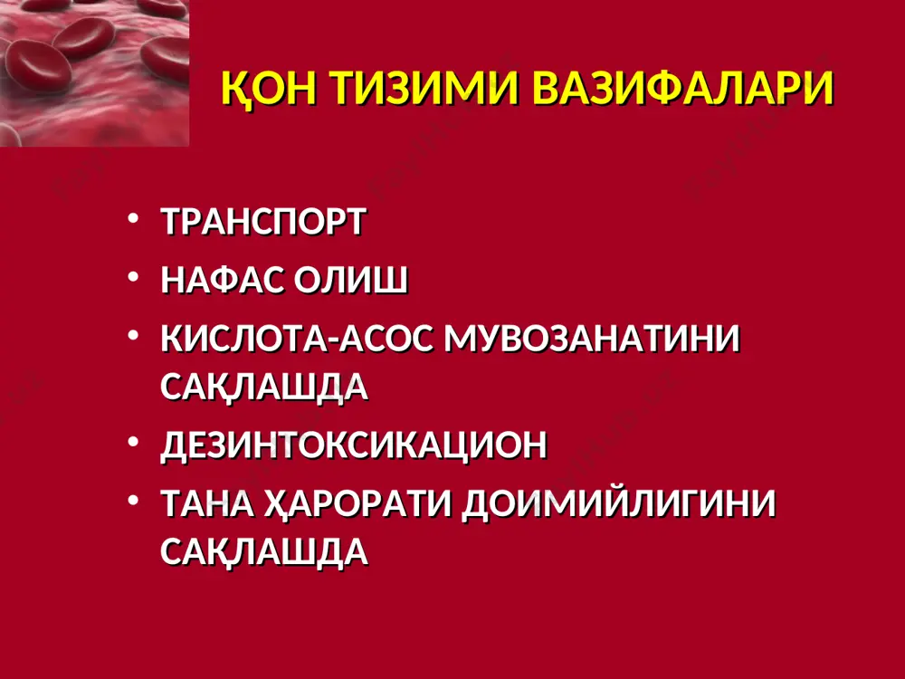 родиэрез эритроцитлар парчаланиши асосий механизми: фагоцитоз = томирдан ташқари гемолиз фрагментация томир ичи гемолиз аномалии формы, структуры и размера эритроцитов. 1 – эритроцит; 2 – полихроматофильная клетка; 3 – макроовалоцит; 4 – макросфероцит; 5 – микроцит; 6 – микросфероцит; 7 – эхиноцит; 8 – акантоцит; 9 – дегмацит; 10а – пузырчатая клетка; 10б – пойкилоцитоз; 11 – эллиптоцит (овалоцит); 12 – стоматоцит; 13а – мишеневидная клетка (кодоцит); 13б – условная схема кодоцита «в профиль»; 14 – шистоциты (каскообразные клетки); 15 – дрепаноциты (серповидные клетки); 16 – анулоцит (кольцевидная клетка); 17 – дакриоциты (каплевидные клетки), 18 – оксифильный эритробласт или «эритрокариоцит»; 19 – тельце жолли (хауэлла-жолли); 20 – базофильная пунктация эритроцитов; 21 – тельца паппенгеймера; 22а,б – кольца кабо (кэбота); 23а,б – кристаллы гемоглобина с; 24 – фигуры мальтийского креста (при бабезиозе); 25а – перстневидные, б – наушникообразные и в – бананообразные паразиты при малярии; 26а-в – ретикулоциты с substantia reticulofilamentosa; …