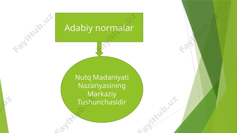 o’zbek tili adabiy normalari - Page 4