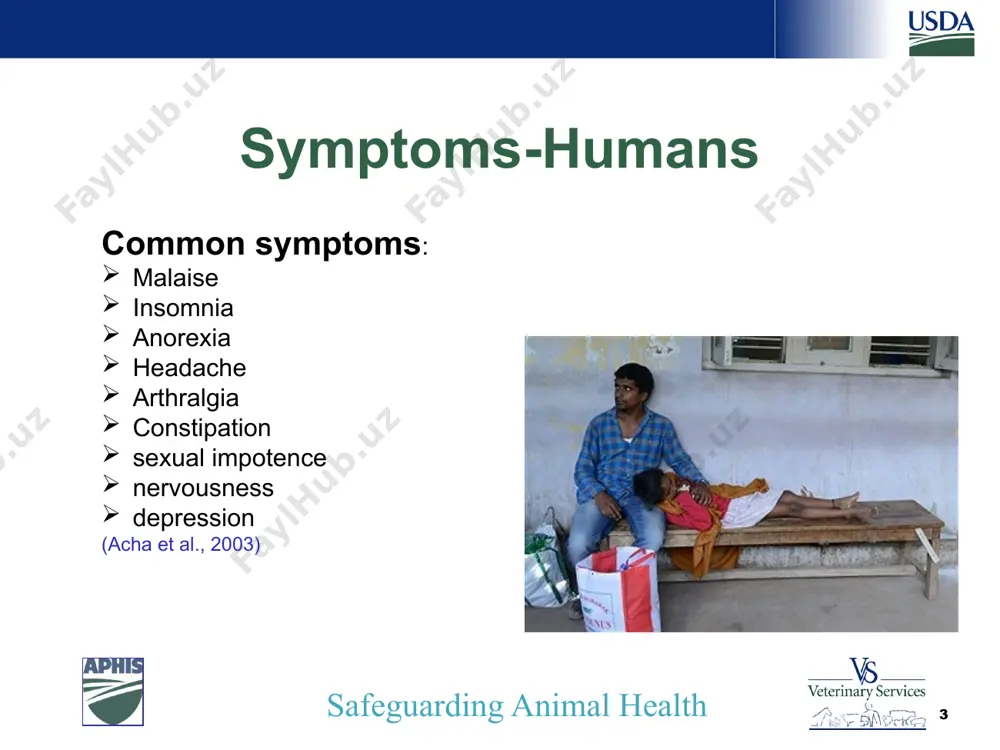 ere well, serologic testing for brucellosis was not performed. patient a recovered with no permanent knee joint damage after antimicrobial therapy with levofloxacin and daptomycin for 6 weeks. 5 patient a. -----may 2008 two days later, on may 9, patient a. returned to hospital with chills, persistent fever, left knee pain, and edema. dx: knee infection and sepsis and treated initially with vancomyin. knee aspirate and blood were collected for culture. initial microbiologic examination indicated corynebacterium urealyticum. may 11, he developed epididymo-orchitis and was tx changed to levofloxacin and daptomycin for a 6-week course. brucella spp. subsequently were identified from isolates from the blood and synovial specimens collected from patient a when admitted on may 7. may 29, b. suis biovar 1 was identified. source: brucella suis infection associated with feral swine hunting ---three states, 2007-2008 safeguarding animal health patient a. ----epidemiology epidemiologic investigation revealed that patient a had hunted …