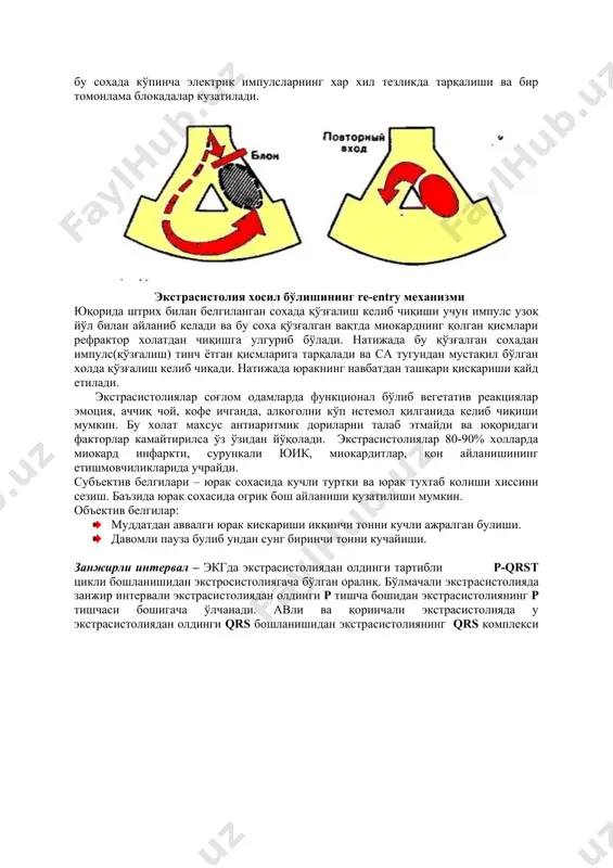 нчали экстрасистолияда у экстрасистолиядан олдинги qrs бошланишидан экстрасистолиянинг qrs комплекси бошигача ўлчанади. компенсатор пауза – экгда экстрасистолиядан навбатдаги тартибли ритмгача бўлган масофага айтилади. у тўлиқ ва нотўлиқ бўлиши мумкин. агар экстрасистолия бўлмачада ёки ав тугунда хосил бўлса, эктопик импулс нафақат қоринчаларга балки ретроград равишда бўлмачаларга хам тарқалади. эктопик импулс са тугунга етиб бориб уни “электрсизлантиради” ва навбатдаги тартибли ритм хосил бўлишини тўхтатади. пауза хосил бўлишининг механизми шуки эктопик импулс са тугунни “электрсизлантиради” ва ундан кейинги тартибли ритм хосил бўлиши учун маълум вақт кетади ва нотўлиқ компенсатор паузани хосил қилади. қоринчалар экстросистолиясида са тугун “электрсизлантирилмайди, чунки эктопик импулс ав тугундан ўтолмайди ва бўлмачалар ва са тугунга етиб бормайди. бунда синусли ритм бўлмачаларни қаршиликсиз қўзғатади, ав тугунга етиб боради ва кўп холларда тартибли деполяризация чақирмайди, чунки улар қоринчали экстросистолиядан кейин рефрактор даврда бўлади. одатда қоринчаларнинг нормал қўзғалиши навбатдаги синусли импулсдан кейин келиб чиқади ва тўлиқ компенсатор пауза хосил бўлади. · агар экстрасистолия …