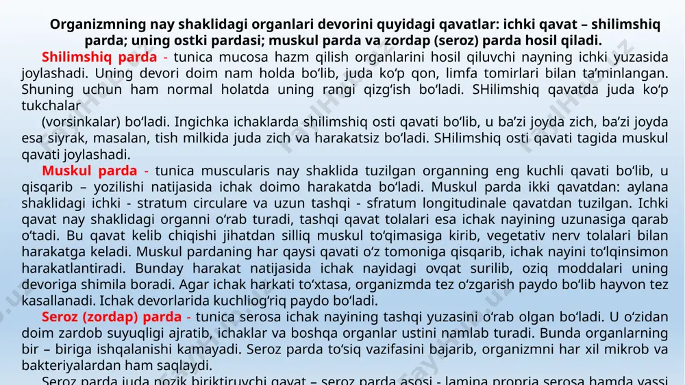 tutqich - mesenterium, kalta bo‘lsa pay - ligamentum yoki burma - plica deyiladi. seroz parda erkin joylashib, undan charvi - omentum hosil bo‘ladi. qorin bo‘shlig‘idagi seroz parda tos bo‘shlig‘idagi organlarga o‘tib, bir qancha burma hosil qiladi: siydik – jinsiy organ burmasi - plica urogenitalis da urg‘ochi hayvonlarda bachadon, erkak hayvonlarda esa pufaksimon bez urug‘ yo‘lining oxirgi uchi joylashadi; kindik - siydik xaltachasining yon burmasi - plica vesica umbilicalis tos suyagining yon devoridan siydik xaltachasining ustiga o‘tadi; siydik xaltachasi va kindikning o‘rta qismi payi - plica vesica umbilicalis media qovuqdan tos bo‘shlig‘i va qorin devorining pastki qismiga tushadi. urg‘ochi hayvonlarning to‘g‘ri ichagi bilan siydik – jinsiy burmasi oralig‘ida to‘g‘ri ichak – bachadon bo‘shlig‘i - exacavatio rechouterina, siydik xaltachasi bachadon bo‘shlig‘i - excavatio vesicouterina bor. erkak hayvonlarda to‘g‘ri ichak bilan siydik xaltachasi orasida to‘g‘ri ichak – siydik xaltachasi bo‘shlig‘i - excavatio rectovesicalis bo‘ladi. 2-savol. tana bo‘shliqlari va bo‘linishi. tana bo‘shliqlari. hayvon tanasi …