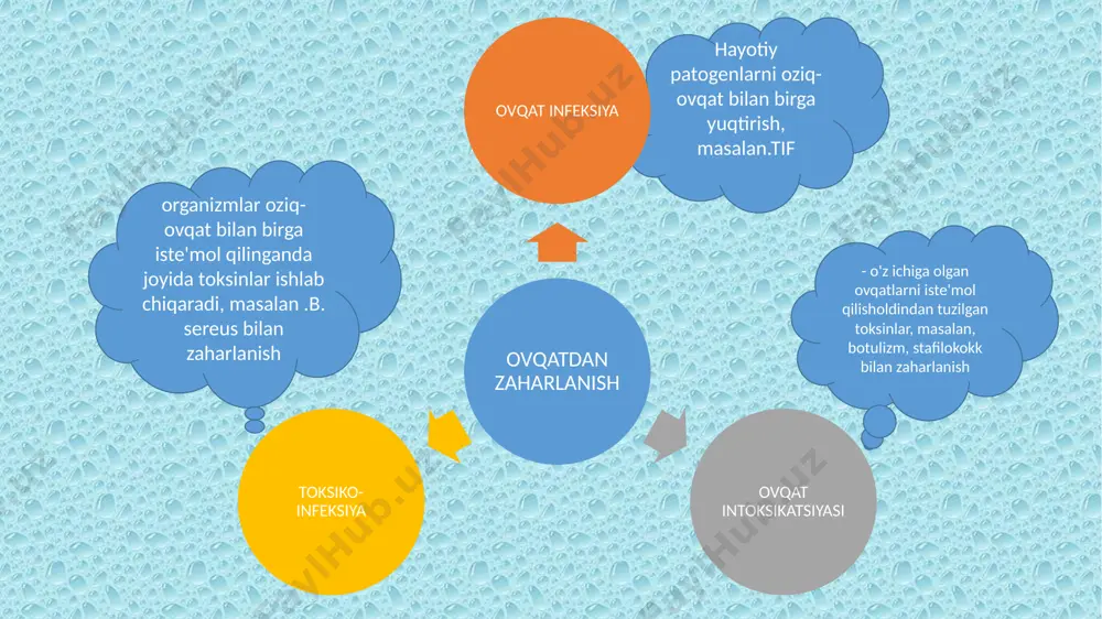 engil diareyadan ochiq dizenteriya, og'ir yallig'lanish, isitma chaqiradi k sirt antijeni uchun genni kodlovchi plasmid bor ko‘pchilik harakatsiz bo‘lib, laktozani achitmaydi yoki faqat kislota hosil bo‘lishi bilan kech achitmaydi va lizin dekarboksilaza hosil qilmaydi. bularning ko'pchiligi o antigenining shigella bilan o'zaro reaktivligini ko'rsatadi. enterotoxigenic e. coli ichak shilliq qavatiga fimbriyalar bilan yopishadi enterotoksinlarni hosil qiladi plazmidlarda enterotoksinlar uchun genlar mavjud ichak epiteliya hujayralarining oqishi - elektrolitlar va suvning yo'qolishi bolalarda va kattalarda diareya sabab bo'ladi sayohatchining ich ketishi rivojlangan mamlakatlardan endemik hududlarga tashrif buyuradigan odamlar ko'pincha etec diareyasidan aziyat chekishadi - traveler's diarrhea. tropik mintaqadagi rivojlanayotgan mamlakatlarda, barcha yosh guruhlarida endemik. etek patogenezi ikki bosqichni o'z ichiga oladi: 1. ichak kolonizatsiyasi: fimbrial (k88, k99) yoki kolonizatsiya omili antigenlari (cfa i, ii, iii, iv va boshqalar) - invaziv bo'lmagan 2. diareyaga olib keladigan enterotoksin(lar) -- lt va/yoki st toksini lt yoki st yoki ikkalasini ishlab chiqaradi. chaqaloqlarda va sayohatchilarda diareya sabab …