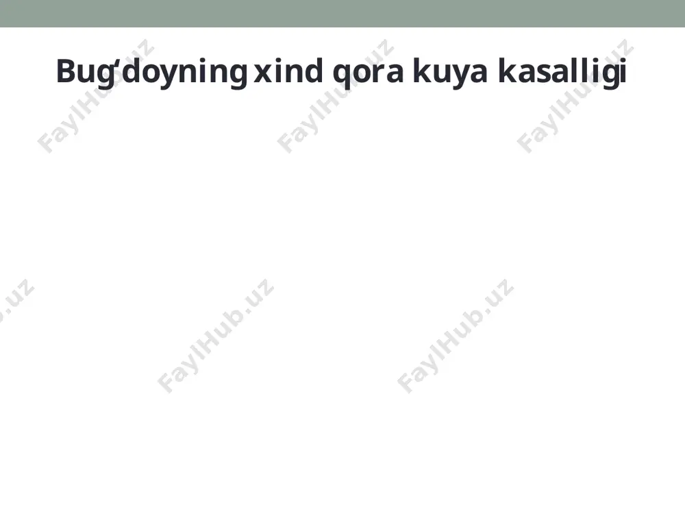 bug'doy, arpa, sholi va makkajuxori kasalliklari - Page 4