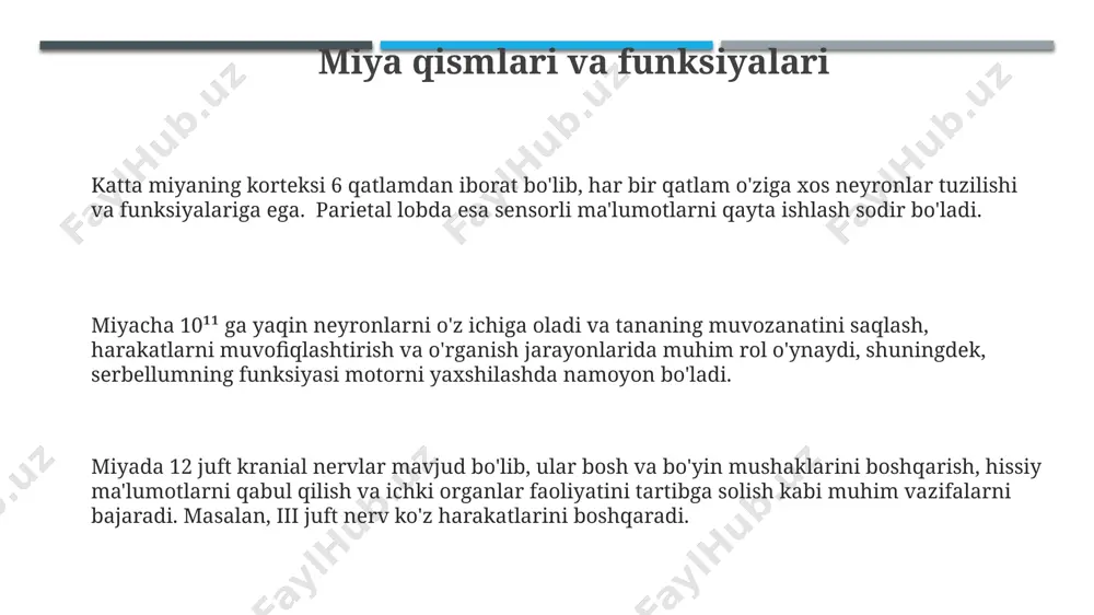 orqa miya va miya pardalari - Page 3