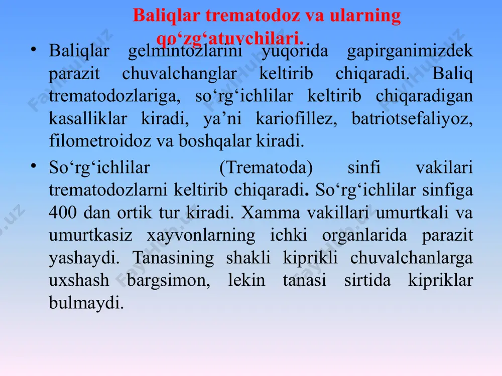 yib mikroskopda tekshirishadi. metatserkariylarning turlarini aniqlashda bioproba qo‘yiladi. mushuk bolasiga zararlangan baliq go‘shtidan ediriladi va 25-30 kun o‘tgach tezak gelmintiokoprologik usulda tekshiriladi. tasmasimon chuvalchanglar yoki sestodlarni tuzilishi. tanasining oldingi uchida kichkinagina boshcha-skoleks bo‘lib, unda to‘rtta so‘rg‘ich joylashgan. bular yordamida solityor ichak devoriga yopishib oladi. bosh qismining pastidagi bo‘g‘imlariga (proglottidlar) bo‘linmagan qismi bo‘yinni tashqil qiladi. bo‘yin qismi ko‘ndalang bo‘linib yangi yosh bo‘g‘inlarni hosil qiladi. bu jarayonni strobilyasiya, solityorning uzun zanjirsimon tanasini esa strobila deyiladi. qoramol solityorining tanasining (strobilasi) o‘n mingdan ortiq proglottidlardan iborat. lekin tanani tashqil qiladigan bo‘g‘inlar har xil tuzilishga ega. bo‘yin qismidan keyin bevosita boshlanadigan bo‘g‘inlarning uzunligi kengligiga qaraganda ancha kichik, ularda jinsiy organlar rivojlanmagan bo‘ladi. solityor tanasining o‘rta qismidagi bo‘g‘imlar (200-250 bo‘g‘inlardan boshlab) to‘rtburchak shaklida bo‘ladi. bular erkaklik va urg‘ochilik jinsiy organlar sistemalari rivojlangan germafrodit bo‘g‘inlardir. tananing keyingi qismidagi yetilgan bo‘g‘imlar ancha ingichka va uzunroq bo‘ladi. ular urug‘langan tuxumlar bilan to‘lgan bo‘lib, bitta-bittadan uzilib tushadi. qoramol solityorining bo‘g‘imlarida …