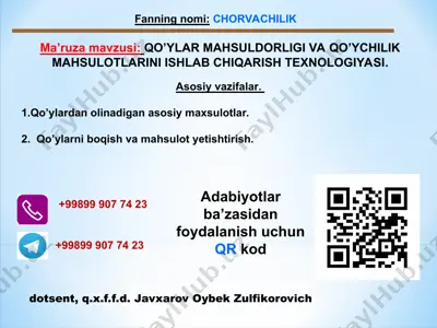 chorvachilik — PPT