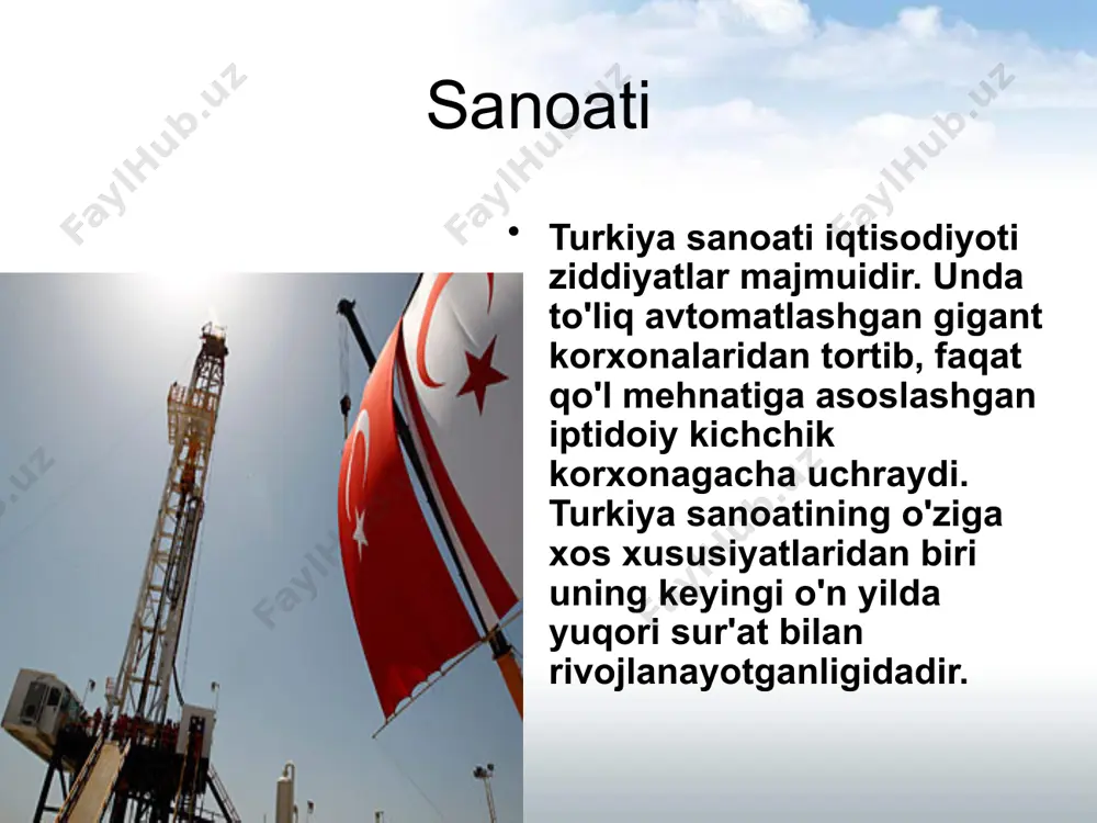 turkiya davlatining iqtisodiyoti - Page 5