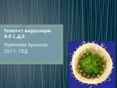 гепатит вируслари (hepatitis viruses) — PPTX