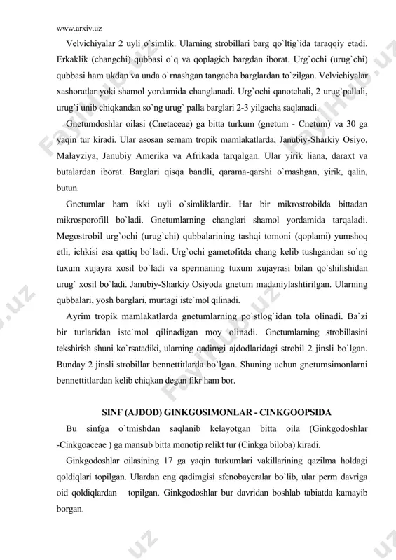 gi strobil 2 jinsli bo`lgan. bunday 2 jinsli strobillar bennettitlarda bo`lgan. shuning uchun gnetumsimonlarni bennettitlardan kelib chiqkan degan fikr ham bor. sinf (ajdod) ginkgosimonlar - cinkgoopsida bu sinfga o`tmishdan saqlanib kelayotgan bitta oila (ginkgodoshlar -cinkgoaceae ) ga mansub bitta monotip relikt tur (cinkga biloba) kiradi. ginkgodoshlar oilasining 17 ga yaqin turkumlari vakillarining qazilma holdagi qoldiqlari topilgan. ulardan eng qadimgisi sfenobayeralar bo`lib, ular perm davriga oid qoldiqlardan topilgan. ginkgodoshlar bur davridan boshlab tabiatda kamayib borgan. tabiiyi sharoitda ginkgo faqat sharkiy xitoyning tyan-mu shan tog`ida ozrok maydonda saqlanib qolgan. so`nggi paytlarda xitoydan ginkgoning ikkinchi turi topilganligi haqida ma`lumotlar bor. ginkgo so`zi yapon tilidan olingan bo`lib, «kumushrang urik» yoki «kumushrang meva» degan ma`noni anglatadi. yaponiya, xitoy, koreyalarda bu mukaddas daraxt sifatida ziyoratgox joylarda, parklarda o`stirilgan. 1730 yillarda u garbiy yevropaga, 50 yillardan keyin esa shimoliy amerikaga keltiriladi. 1771 yilda k.lenney bu o`simlikka cingkgo biloba l. - deb ilmiy nom bergan. ko`p mamlakatlarda, igu …