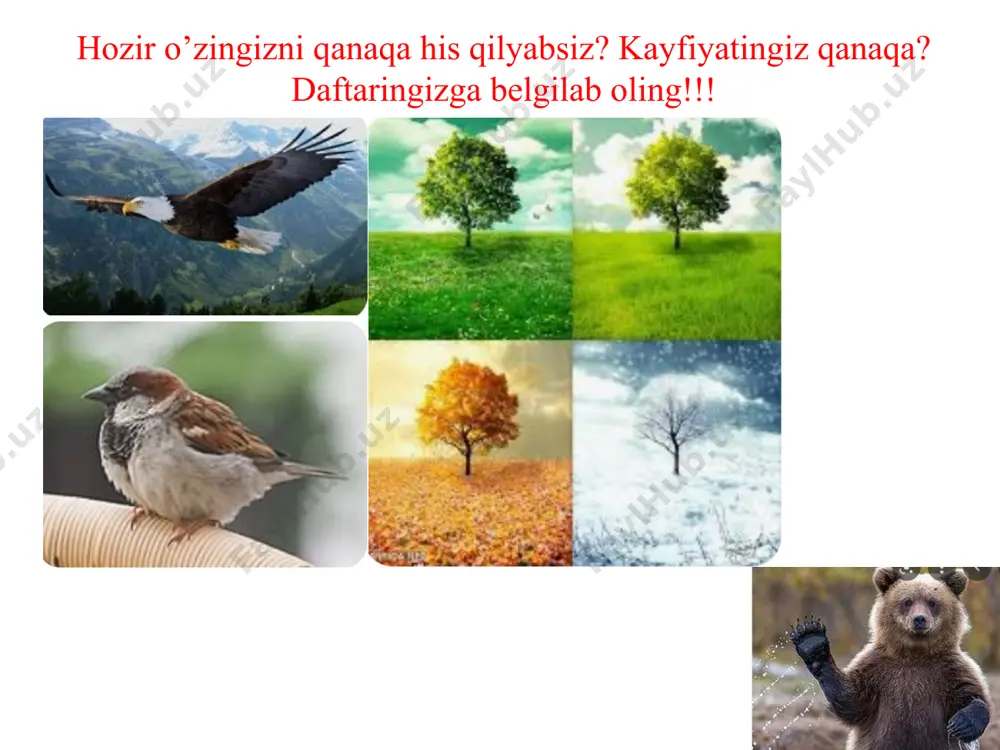 ining kattaligi va yo’nalishi o’zgarmaydigan tokka o’zgarmas tok deyiladi. tok kuchi amperda (a) o’lchanadi. bu xalqaro birliklar sistemasining asosiy birligidir. tok manbaida elektronlarni ajratuvchi kuchlarga elektr ajratuvchi kuchlar deyiladi. tashqi elektr ajratuvchi kuchning manba ichida uning qutblari orasida birlik zaryadni ko’chirishda bajargan ishi tok manbaining elektr yurituvchi kuchi deyiladi. q a  (2) ikkinchi tomondan 21   (3) demak, elektr yurituvchi kuch ajratilgan tok manbai qutblari orasidagi potensiallar ayirmasiga teng. t q i d d = q a = e 2 1 j j e - = ma’lumki, elektr zaryadlarining tartibli harakatiga elektr toki deyiladi. tok yo’nalishi sifatida musbat zaryadning harakat yo’nalishi qabul qilinadi. o’tkazgichning ko’ndalang kesimi orqali bir sekundda o’tgan δq elektr miqdoriga tok kuchi deyiladi. (1) vaqt mobaynida tok kuchining kattaligi va yo’nalishi o’zgarmaydigan tokka o’zgarmas tok deyiladi. tok kuchi amperda (a) o’lchanadi. bu xalqaro birliklar sistemasining asosiy birligidir. tok manbaida elektronlarni ajratuvchi kuchlarga elektr ajratuvchi kuchlar …