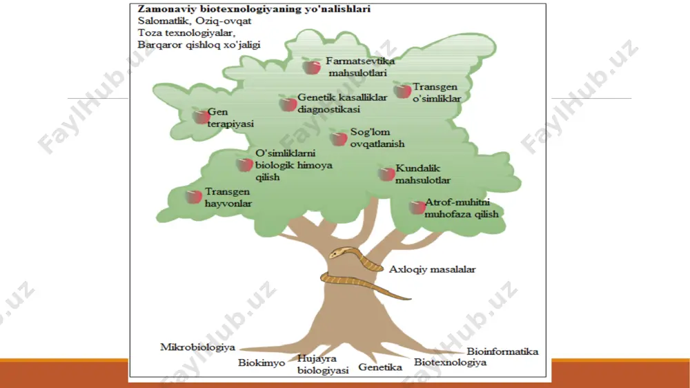 tisodiy aloqalar biotexnologiyaning gullagan davrida qanday bo'lishi kerak? insonning yerdagi turlarning biologik xilma-xilligiga aralashuvi qanday ekologik oqibatlarga olib keladi? ushbu va boshqa ko'plab axloqiy savollarga javoblar hali topilmagan. insonning funktsional qobiliyatlarini kengaytirish imkoniyati vaqt masalasidir va tez orada biotexnologiyaning axloqiy tomoni ham muhokama mavzusiga aylanadi. biotexnologik jarayonnning asosiy bosqichlari amaliy biologiya bu biotexnologiyadan (hujayra va molekulyar biologiyani qo'llash) qishloq xo'jaligi, dehqonchilik, oziq-ovqat texnologiyalari, tibbiyot yoki biologik xilma-xillik va ekotizimlarni saqlash strategiyalariga qadar kengroq atama. sintetik biologiya ushbu atama boshqalarga qaraganda ancha yaqin va shuning uchun uning o'ziga xos ta'rifi bo'yicha hali kelishuv mavjud emas. biroq, uni tabiatda mavjud bo'lmagan biologik tizimlarni loyihalash va yaratish bilan tavsiflangan biotexnologiyaning pastki qismidir. bunga erishish uchun u boshqaruv tizimlari yoki dizayn-qurish-sinov-o'rganish tsikli kabi muhandislik tamoyillarini o'z ichiga oladi. biologik muhandislik yoki bioinjiniring "bioinjiniring" atamasi "hamma narsa" bu erda u biotexnologiyadan ko'ra umumiy atama hisoblanadi, bu biologiya bilan bog'liq bo'lgan texnologik yondashuv, yoki manbalar, boshlang'ich …