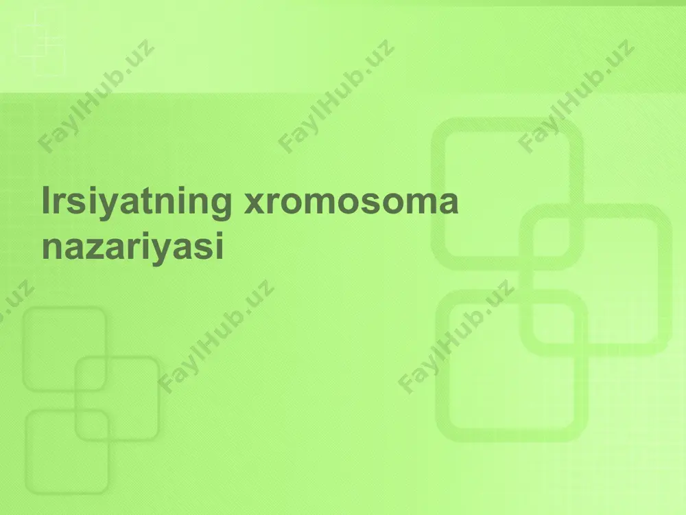 rug'lanish davrida xromosomalarning xatti-harakati 13 xususan, ular ta'kidladilar: xromosomalar homolog juftlar shaklida mavjud (mendel irsiy omillar juft bo'lib mavjud deb hisoblagan) homolog xromosomalar meyoz paytida shunday taqsimlanadiki, gametalar bir juftdan faqat bitta xromosoma oladi (mendel gametalarning shakllanishi paytida har bir gametaga juftdan faqat bitta omil kiradi deb ishongan) 14 turli homolog juftlarning xromosomalari meyoz davrida tasodifiy guruhlanadi va gametalar o'rtasida boshqa juftlikdan mustaqil ravishda taqsimlanadi (mendel har bir juftning omillari gametalar o'rtasida taqsimlanishida boshqa juftliklarga bog'liq emas deb hisoblagan) 15 16 - ikki ota-onaning gomologik xromosomalari zigotada erkak va urg'ochi gametalarning qo'shilishi natijasida birga topiladi, bu nasldagi diploid sonni tiklaydi (mendel urug'lanish paytida erkak va ona omillari aralashadi deb hisoblagan). xromosomalar o'z tuzilishini, individualligini va genetik tarkibini shaxsning butun hayoti davomida saqlab qoladi (mendel belgilar paydo bo'lmasa ham yo'qolmaydi deb hisoblagan) xromosomalar va mendel omillari o'rtasidagi muvofiqlikni aniqlash irsiyatning xromosoma nazariyasini shakllantirish uchun zaruriy shart edi. 17 ma'lum bo'ldiki, mendel …