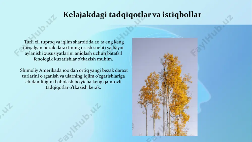 tlari ekish tavsiya etiladi. oʻrtacha yillik yogʻin miqdori 750 mm dan kam boʻlgan hududlarda, qurgʻoqchilikka chidamli, masalan, juniperus virginiana kabi, bezakli ignabargli daraxtlar muvaffaqiyatli oʻsadi. eng mashhur bezak daraxtlari turlari magnolia grandiflora kabi ba'zi bezak daraxtlari 10 metrdan baland bo'yga yetishi mumkin va gullash davri 3 oygacha davom etishi mumliq. acer palmatum (yapon qayrag'ochi) kabi ba'zi bezak daraxtlari turli xil ranglarda, masalan, qizil, sariq va to'q yashil barglarga ega bo'lib, bog'lar va parklarni bezashda muhim rol o'ynaydi. daraxtlarning parvarishi va kasalliklardan himoyasi to'g'ri sug'orish rejimini ta'minlash juda muhim. ortiqcha suv ildizlarning chirishiga, kam suv esa daraxtning susayishiga olib keladi. optimal sug'orish chastotasi o'rtacha 7-10 kunda 1 marta. daraxtlarni muntazam ravishda, taxminan 3-4 oyda bir marta, o'g'itlash kerak, bu ularning sog'lom o'sishi va kasalliklarga chidamliligini oshiradi. mineral o'g'itlarning optimal miqdori daraxt turiga bog'liq. e'tiboringiz uchun rahmat @taqdimot_robot image2.jpg image3.jpg image4.jpg image5.jpg image6.jpg image7.jpg image8.jpg image9.jpg image10.jpg image11.jpg image12.jpg image13.jpg image1.png