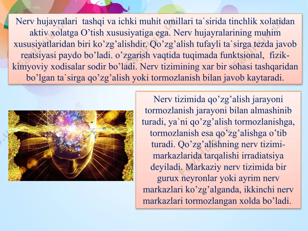 refleks va uning turlari - Page 4