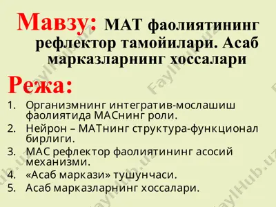 мат фаолиятининг рефлектор тамойилари. асаб марказларнинг хоссалари — PPT