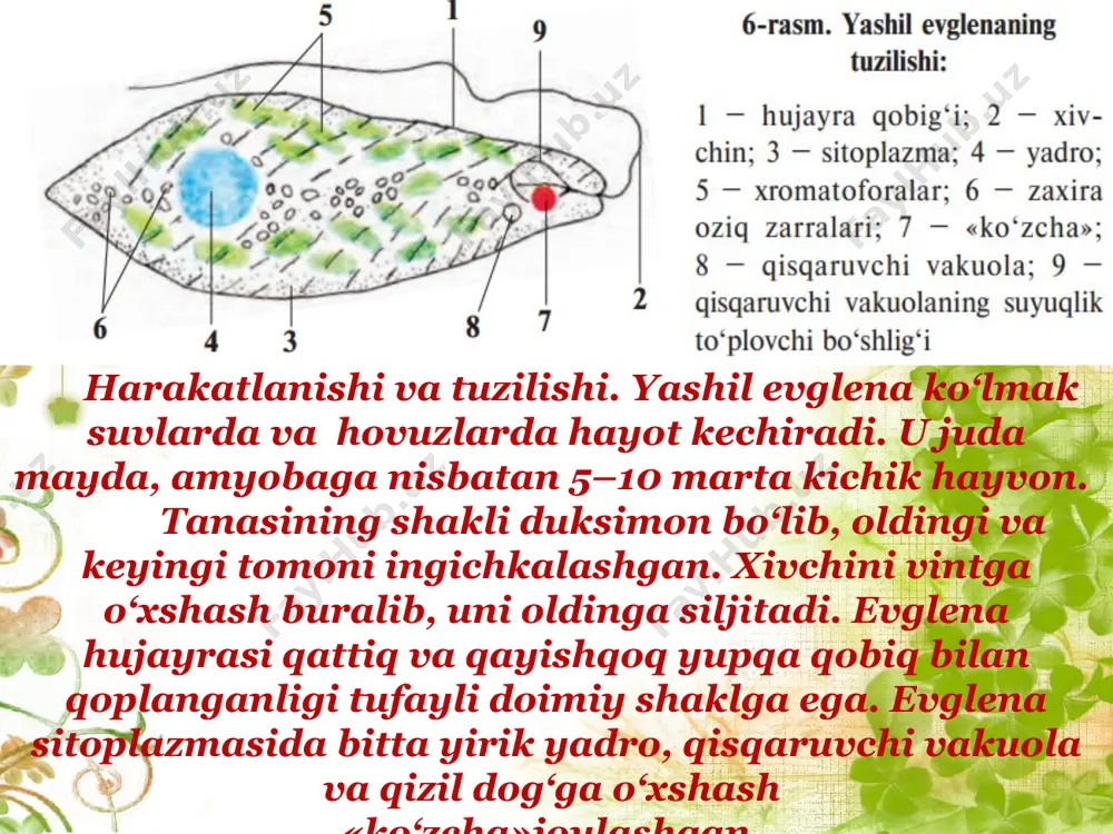 dars ishlanmasi "xivchinlilar sinfi" - Page 3