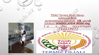 o'zbek adabiy tilida ko'chirish qoidalari — PPTX