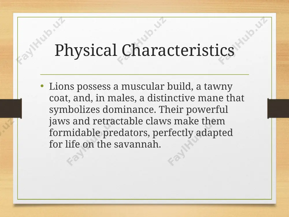 my favorite animal lion - Page 5