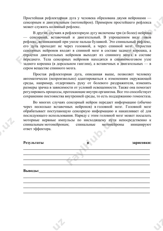 в головной мозг. головной мозг обрабатывает поступающую сенсорную информацию и накапливает её для последующего использования. наряду с этим головной мозг может посылать моторные нервные импульсы по нисходящему пути непосредственно к спинальным мотонейронам; спинальные мотонейроны инициируют ответ эффектора. результаты и зарисовки: ________________________________________________________________________________________________________________________________________________________________________________________________________________________________________________________________________ выводы:__________________________________________________________________________________________________________________________________________________________________________________________________________________________________________________________________________________________________________________________________ image1.jpeg image2.jpeg image3.jpeg
