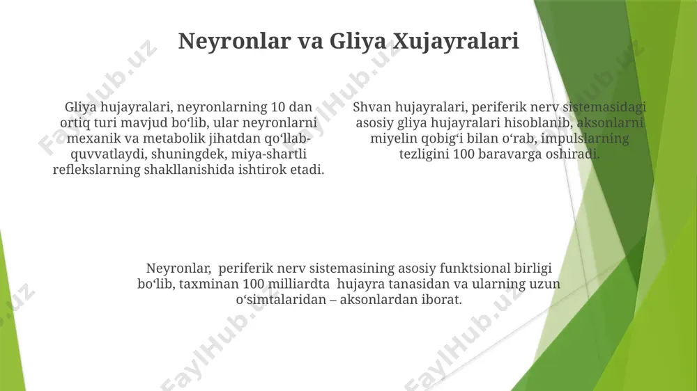 periferik nerv oʻsmalari taqdimoti - Page 4