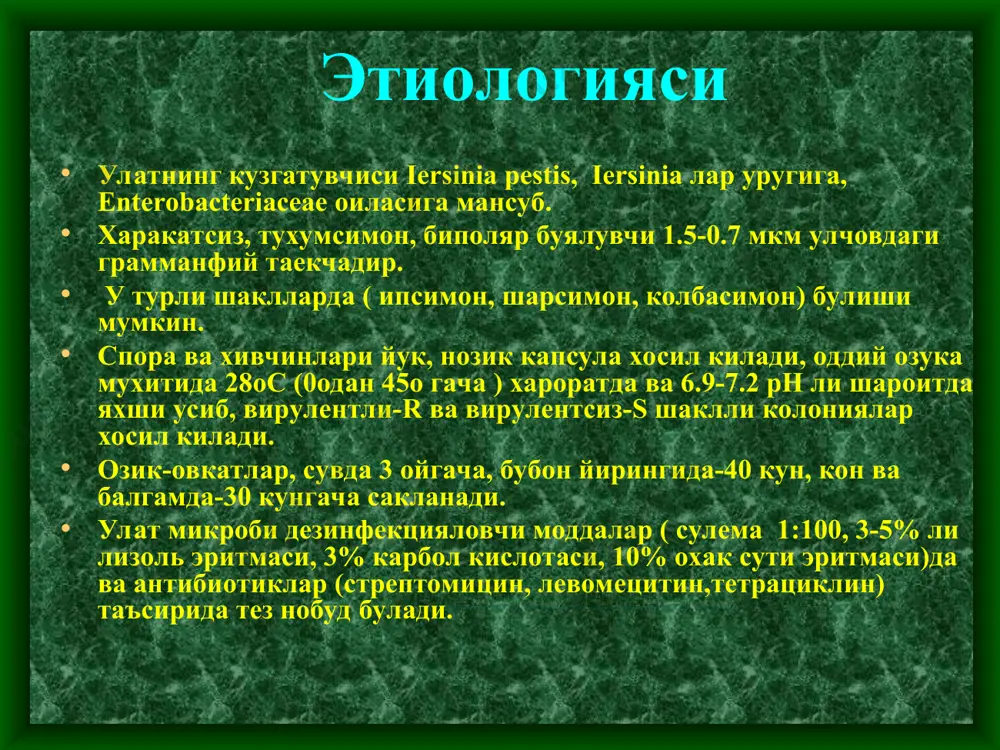 . ташки диссеминирланган шакли: 1 – бирламчи упка 2 – иккиламчи упка ичак формаси клиникаси инкубацион даври 6-8 кун, упка ва септик шакилларида бир неча соатгача кискаради. эмланганларда 10 – кунгача узайиши мумкин улат уткир бошланиб t- 39 – 40c гача кутарилиши мумкин бемор калтираб эти жунжикади мушакларда огрик хис этади. боши айланади каттик огрийди кунгил айнаб кусади. юзи, кузи кизарган, лаблари курук, тили шишган калин ок караш билан копланган. улатнинг тери шакли: инфекция тушган жойда - дог пайдо булади - буртма - пуфакча - пустула - некротик яра - фурункул кейинчалик карбункулга айланади жуда огрикли, атрофи кизарган, инфильтрацияланган яра тубида кора коплама пайдо булади. терида иккиламчи узгаришлар – геморрагик тошмалар, пуфакчалар, пустулалар кузатилиши мумкин. бубон шакли яширин даври 2-3 кун баъзан 4-5 кунгача инфекция тушган жойда лимфа оркали регионар лимфа тугуни зарарланиб бубон хосил булади бубон огрикли кизарган териси таранглашган булади. бубон тухум ёки олма улчамида катталашади. юкори харорат …
