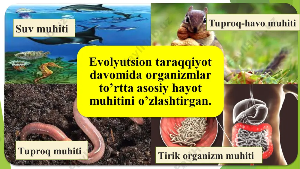 ning bitta tuzilish darajasidagi biosistemalar hisoblanadi. bu sistemalar o‘zaro bog‘liq tirik va anorganik tarkibiy qismlardan tashkil topganligi hamda moddalar va energiya oqimi kabi bir qancha umumiy jihatlarga ega. «biogeotsenoz» yer yuzining ma’lum hududidagi tirik organizmlar va atrof-muhitning tabiiy majmuasi hisoblanadi. biogeotsenoz muayyan tushuncha bo‘lib, ularga tarkibidagi son jihatdan ko‘p uchraydigan turga qarab nom beriladi. masalan: «archazor o‘rmon», «yong‘oqzor o‘rmon» va boshq. har qanday o‘lchamdagi majmualardan iborat ekosistemadan farqli ravishda biogeotsenozlar aniq hudud bilan chegaralangan. ana shunday ayrim farqlar mavjudligiga qaramay «biotsenoz» va «jamoa», «biogeotsenoz» va «ekosistema» tushunchalari bitta tabiiy hodisa – hayotning turdan yuqori tuzilish darajasidagi biologik sistemalar hisoblanadi. biotop (yunoncha «bios» – hayot va «topos» – joy yoki yashash joyi), nafaqat jamoaning egallagan joyi, balki jamoa hayotini belgilovchi muhit omillarining o‘zaro bir-biri bilan bog‘liq kompleksidir. tirik organizmlar o‘z hayotiy faoliyatlari davomida muhitning abiotik shart-sharoitlari (ekotop)ga o‘z ta’sirini o‘tkazib, uni biotopga aylantiradi. ekosistemaning abiotik muhiti (ekotop)ni notirik tarkibiy qismlar – …