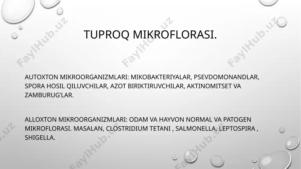 mikroorganizmlar ekologiyasi - Page 5