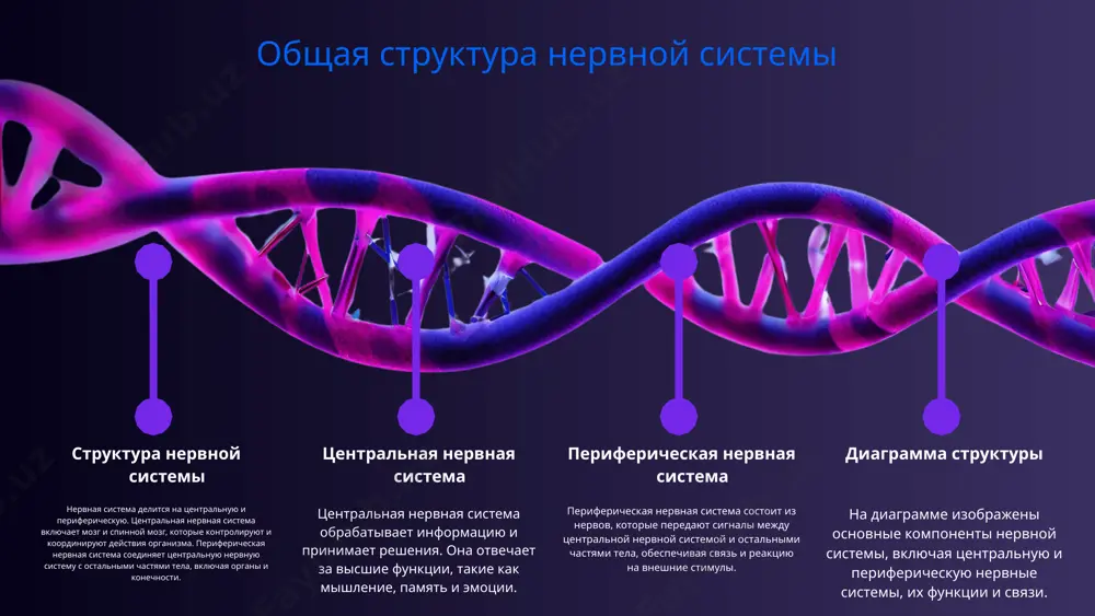 которые могут влиять на поведение, настроение и функционирование человека. эти расстройства часто требуют комплексного подхода к лечению и реабилитации. основные типы расстройств среди основных типов расстройств нервной системы выделяются тревожные расстройства, которые включают панические атаки и генерализованное тревожное расстройство, а также депрессивные расстройства, характеризующиеся длительным чувством печали и утраты интереса. важно понимать, как стресс может усугублять эти расстройства, что приводит к ухудшению общего состояния человека и снижению качества жизни. методы диагностики и лечения диагностика и лечение заболеваний современные методы диагностики, такие как мрт и кт, позволяют врачам точно оценить состояние пациента и выявить различные заболевания на ранних стадиях. мрт предоставляет детализированные изображения мягких тканей, в то время как кт позволяет быстро получить информацию о состоянии органов и тканей. эти методы незаменимы в современной медицине для достижения точных диагнозов. подходы к лечению: - медикаменты: использование лекарственных средств для контроля симптомов и лечения заболеваний. - терапия: различные виды физической и психологической терапии, …