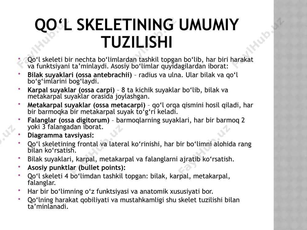 diagramma tavsiyasi: bilak suyaklarini frontal va lateral ko‘rinishda ko‘rsatish. standart shakl va variantlarni taqqoslab ko‘rsatish (masalan, qalinlik yoki egilish farqi). karpal suyaklarning varianti karpal suyaklar qo‘l bilagining murakkab tuzilishini hosil qiladi. odatda ular 8 ta suyakdan iborat bo‘lib, ba’zan anatomik variantlar uchraydi. ushbu variantlar ko‘pincha tug‘ma bo‘lib, klinik ahamiyatga ega. suyaklar soni: ba’zi hollarda qo‘shimcha suyaklar (ossiculum accessorium) paydo bo‘lishi mumkin. suyak shakli: ba’zi karpal suyaklar egri yoki kichik farqlarga ega bo‘lishi mumkin (os centrale, os triquetrum varianti). klinik ahamiyati: variantlar jarrohlik va rentgen tekshiruvlarida aniqlanishi muhim. asosiy punktlar (bullet points): karpal suyaklar odatda 8 ta, lekin qo‘shimcha suyaklar bo‘lishi mumkin. shakl va joylashishda farqlar mavjud. diagnostika va jarrohlik amaliyotida e’tibor zarur. diagramma tavsiyasi: karpal suyaklar frontal ko‘rinishda, asosiy 8 ta suyak va qo‘shimcha variantlarni alohida rang bilan ko‘rsatish. metakarp va falanglarning varianti qo‘lning metakarp va falang suyaklari barmoqlarning shakli va uzunligini belgilaydi. ushbu suyaklarda ham anatomik variantlar uchraydi, ular …