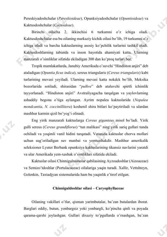 i oddiy, butun, yonbargsiz yoki yonbargli, ko’pincha qinli va poyada qarama-qarshi joylashgan. gullari dixaziy to’pgullarda o’rnashgan, ba’zan bittadan (qoramug’ - vaccaria segetalis) bo’ladi, aktinomorf, 5 a’zoli va 5 doirali, 2 jinsli, ba’zan bir jinsli (2 uyli), entomofil. changchilari 5-10 ta, ginetsey 1 ta, 2-5 mevachabarglardan iborat, sinkarp. urug’kurtaklari ko’p, egilgan. gulining umumiy formulasi: ca5(5)co5a5,l0g(2-5). mevasi tishchali yoki chanoqli ko’sak, ba’zan yong’oqcha yoki rezavor. chinniguldoshlarning 80 turkum va 2000 dan ziyod turlari bor. ular yer yuzida keng tarqalgan, ayniqsa shimoliy yarimshaming mo’tadil iqlimli mintaqalarida va o’rtayer dengizbo’yi hamda eronda tarqalgan. o’zbekistonda chinniguldoshlarning 24 turkumi va 130 tacha turi o’sadi. gul tuzilishi va bir qator boshqa bclgilariga ko’ra chinniguldoshlar oilasi 3 oilachaga bo’linadi: paronixadoshchalar (paronychoideae), yulduzo’tdoshchalar (alsinoideae), chinniguldoshchalar (caryophylloideae). yulduzo’tdoshchalar oilachasining 18 turkumi mavjud. oilachaning o’ziga xos belgilari barcha vakillarida kosachabarglarning erkin (tutashmagan) bo’lishi hamda tojbarglari nayining bo’lmasligidir. o’zbekistonda 10 turkumining turlari ancha keng tarqalgan. keng tarqalgan turkumlardan biri yulduzo’t - stellaria …