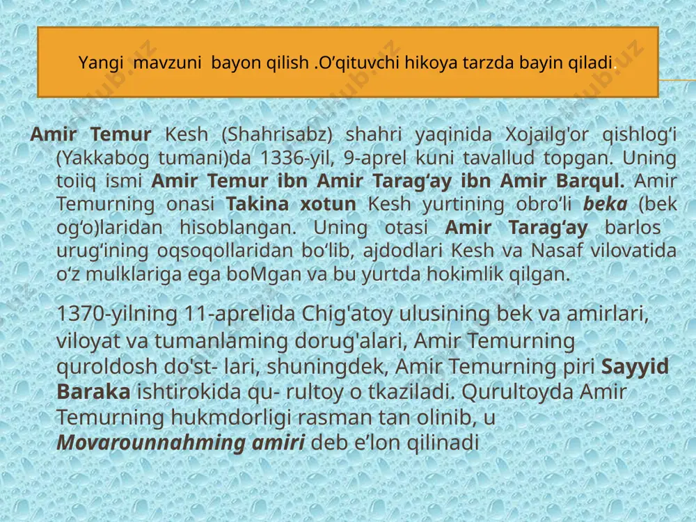 amir temur - davlati - Page 4
