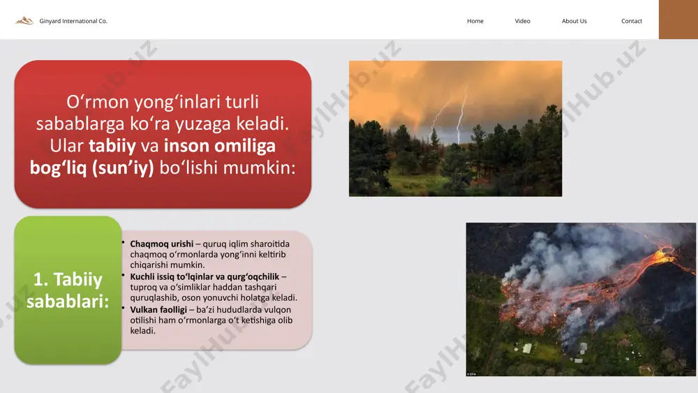 arayonni qat’iy nazorat qilish. o‘rmon atrofidagi hududlarni tozalash, qurigan o‘simliklar va o‘tlarni olib tashlash, bu yong‘inlarning tarqalishini oldini olishda yordam beradi. ginyard international co. contact about us video home jamoatchilikni xabardor qilish va ta’lim berish mahalliy aholi va sayyohlarni o‘rmonlarda yong‘in xavfi haqida xabardor qilish. maxsus kampaniyalar, treninglar va seminarlar o‘tkazish orqali odamlarni yong‘inlar yuzaga kelganda to‘g‘ri harakat qilishga o‘rgatish. o‘rmonlarni tozalash va o‘tkazish o‘rmonni muntazam ravishda tozalash (qurigan daraxtlar, yong‘in chiqishi mumkin bo‘lgan materiallar). bu chora yong‘inlarning tez tarqalishini oldini olishga yordam beradi. ginyard international co. contact about us video home o‘rmon yong‘inlarini bartaraf etish choralar yong‘in o‘chirish texnikalarini takomillashtirish zamonaviy uskunalar: yong‘in o‘chirishda foydalaniladigan texnikalarni yangilash, o‘rmon yong‘inlarini o‘chirish uchun quvvatli samolyotlar, vertolyotlar va maxsus yong‘in o‘chirish texnikalarini joriy etish. o‘rmonni yong‘inga qarshi himoya qilish: o‘rmonning chekka hududlariga maxsus himoya tarmoqlari (yong‘inga chidamli devorlar yoki kanalizatsiya tizimlari) qurish. yong‘in xavfsizligi tizimlari va jamoalarini tashkil etish maxsus jamoalar: o‘rmonlarda …