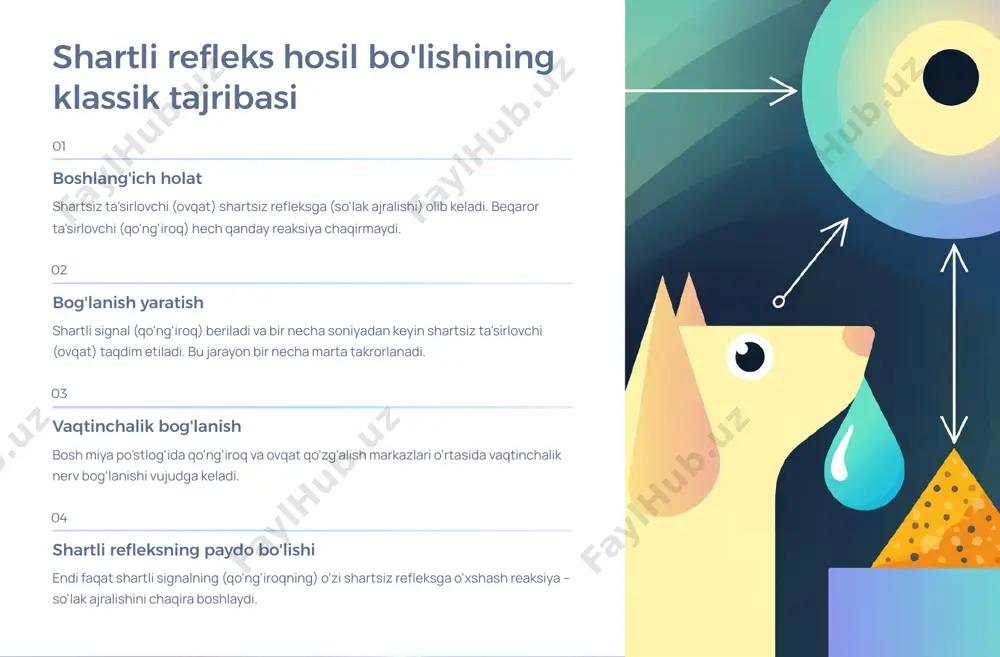 ohali ta'sir pavlovning ishlari psixologiya, fiziologiya, tibbiyot va pedagogika fanlari uchun o'zining mustahkam ahamiyatini saqlab qolgan. uning ta'limoti inson tafakkuri hamda ongining fiziologik negizlarini ochib, ilmiy psixologiyaning rivojlanishida tub burilish yaratdi.