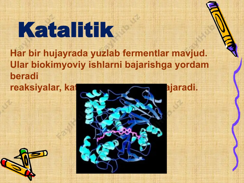 funksiyalar - Page 4