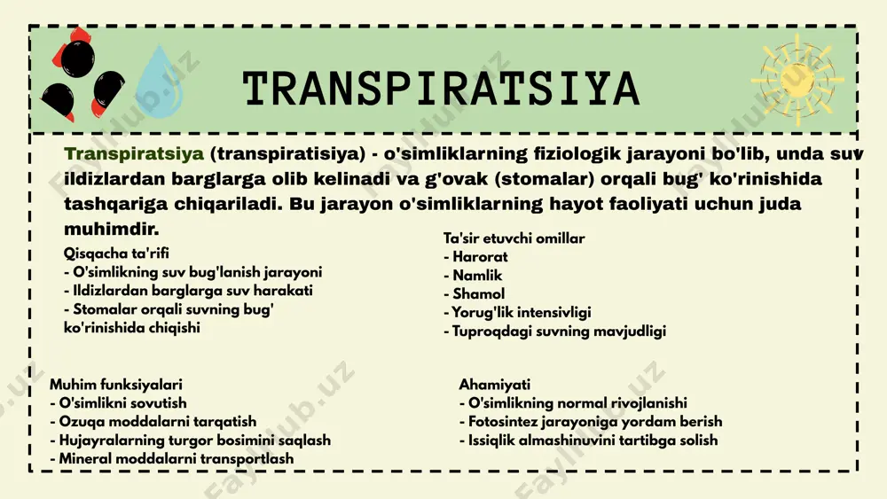 transpiratsiya - Page 2