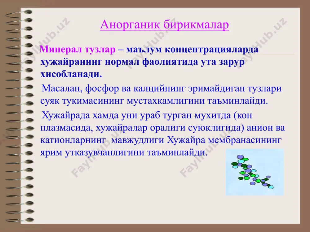 an kam). c. giper-tonik eritma (hujayra ichidagi kon-sentratsiyadan ko’p). “human biology” sylvia s. mader, 2010 dan keltirilgan стадии метаболизма: tayyorlash bosqichi: ovqatni hazm qilish, kislorod va oziqa moddalarni hujayralarga yetkazish hujayrada modda va energiya almashinuvi yakuniy bosqich: parchalanish tayyorlash bosqichi (hazm qilish tizimi) polisaxaridlar (kraxmal, sellyuloza) monosaxaridlar (glyukoza, fruktoza) yog’lar glitserin va yog’ kislotalari oqsillar aminokislotalar hujayralardagi metabolizm energiya almashinuvi (katabolizm, dissimilyatsiya) plastik almashinuvi (anabolizm, assimilyatsiya) organik moddalarning parchalanishi organik moddalarni sintezi plastik almashinuvi. (anabolizm, assimilyatsiya) hujayraga kelib tushgan aminokislotalar, monosaxaridlar, glitserin va yog’ kislotalari shu organizmga hos yangi oqsil, uglevod va yog’ molekulalarini hosil qiladi. hosil bo’lgan sodda molekulalar, aminokislotalar, nukleotidlar hujayra komponentlari tarkibit qismlarini sintezi uchun sarf bo’ladi. plastik almashinuv hisobiga hujayra va organizmning o’sishi, bo’linishi va rivojlanishi taminlanadi. oqsillar, lipidlar va uglevodlar almashinuvi oqsillar, yog’lar va uglevodlar funksiyalari organik moddalar oqsillar yog’lar funksiyalar quruvchi, fermentativ, xarakat, ximoya, transport, energetik quruvchi, ximoya, energetik, termoregulyatorlik uglevodlar quruvchi, energetik, ximoya …