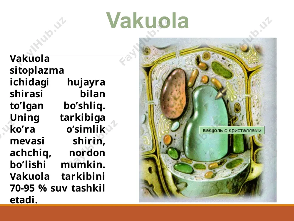 biologiya dars mavzusi - Page 5
