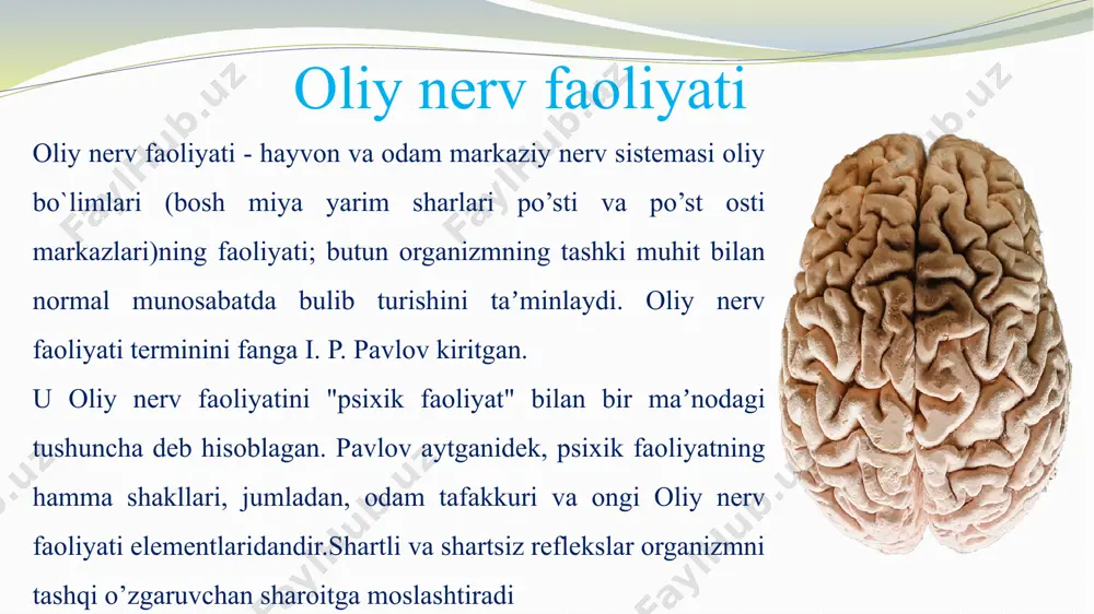 ni 3 asosiy xususiyatga: qoʻzgʻalish va tormozlanish kuchi, bu jarayonlarning muvozanati va ularning ildamlik darajasiga qarab bir-biridan farq qilishini aniqladi. sariq safro ("safro, zahar") ko'payib ketishi odamni impulsiv, "issiq" - xolerik qiladi; limfa ustunligi ("balg'am") odamni tinchlantiradi va sekin - flegmatik qiladi; qonning ustunligi ("qon") odamni harakatchan va quvnoq qiladi - sangin odam; qora safro ("qora safro") ustunligi odamni xafa va qo'rqinchli qiladi - ohangdor odam. oliy nerv faoliyatining tipologik ko`rsatkichlari sifatida hammadan avval shartli reflekslarning hosil bo`lish tezligi hisoblanadi. bu xususiyat bir turdagi turli hayvonlarda turli xildir. oliy nerv faoliyatining individual xususiyatining barcha ko`rsatkichi bo`lib shartli refleksii balandligi hisoblanadi. oliy nerv faoliyati tipining birinchi ko`rsatkichi bo`lib, qo`zg`olish va tormozlanish jarayonlaridagi irradiatsiya va kontsentratsiya (induktsiya)ning tezligi hisoblanadi. oliy nerv faoliyati tipining oxirgi ko`rsatkichi bo`lib, hayvonni turli ta`sirotlarga katta yoki kichik beriluvchanliga hisoblanadi. nerv sistemaning bu ko`rsatkichi nerv sistemani turli patologik xolatlarga olib kelishi mumkin. bu to`rtta tipdan i.p. pavlov uchtasini …