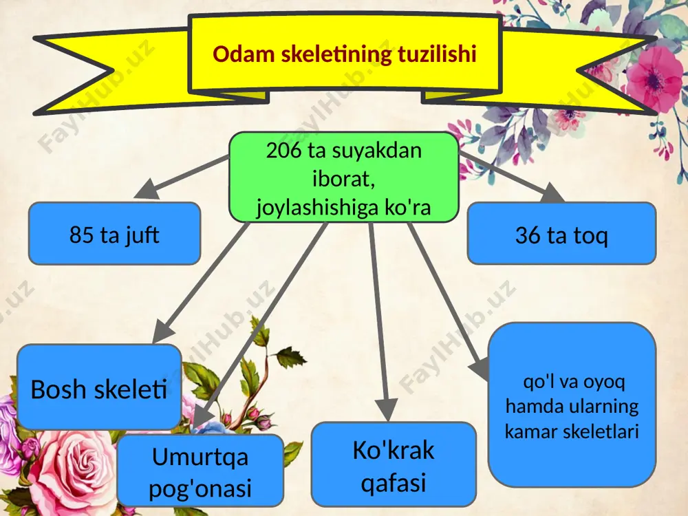 tayanch-harakatlanish sistemasining tuzilishi, funksiyasi va ahamiyati - Page 4