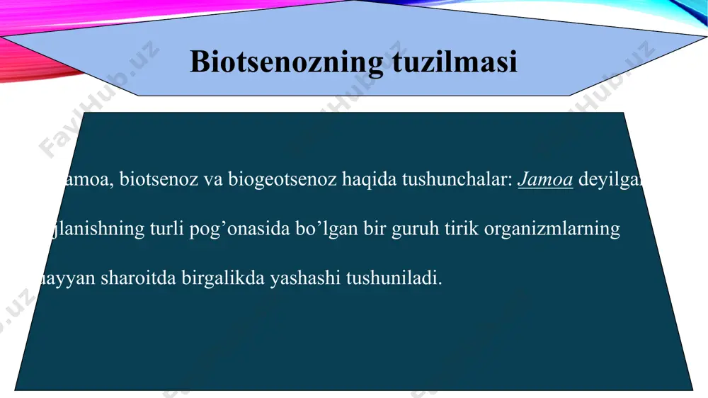 iladi. biogeotsenozning asosiy komponentlari atmosfera, tog’ jinslari, suv, o’simlik va hayvonot dunyosi hisoblanadi. biogeotsenozlar har xil o’lchamda, ya’ni kichik va katta maydonda bo’lishi mumkin.